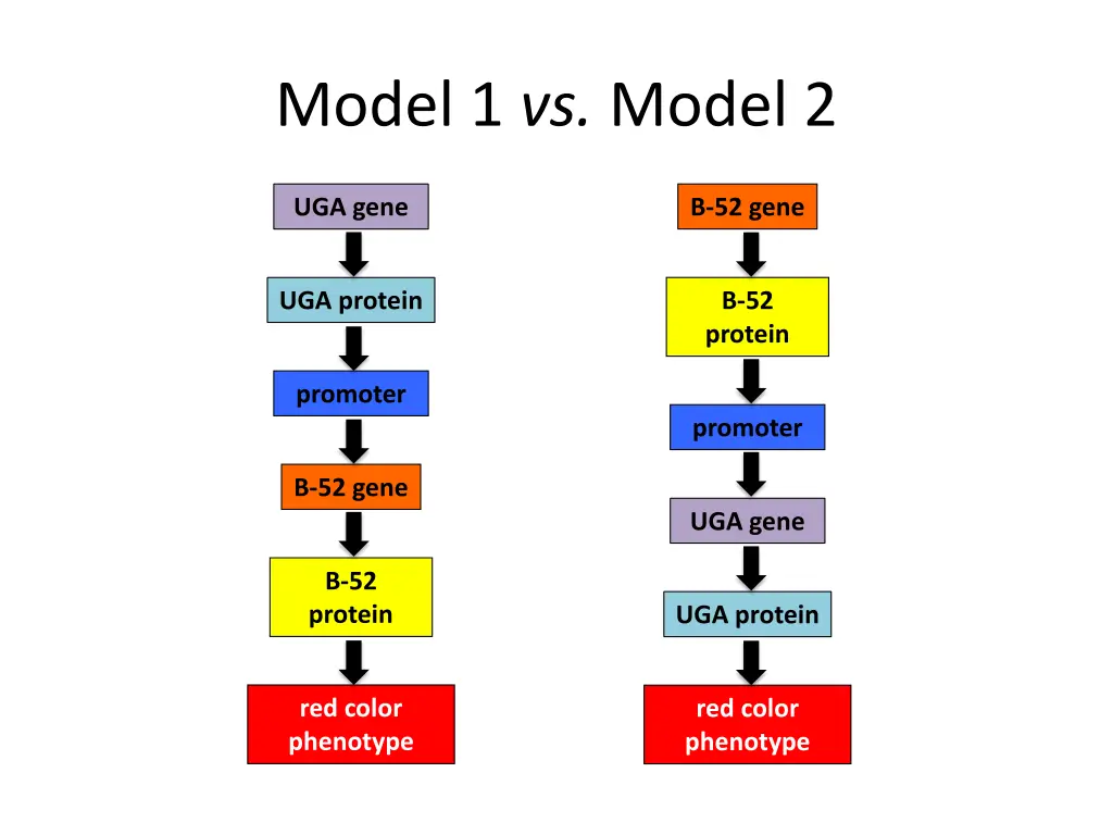 model 1 vs model 2