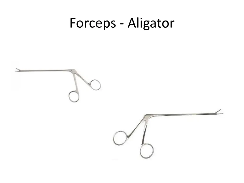 forceps aligator