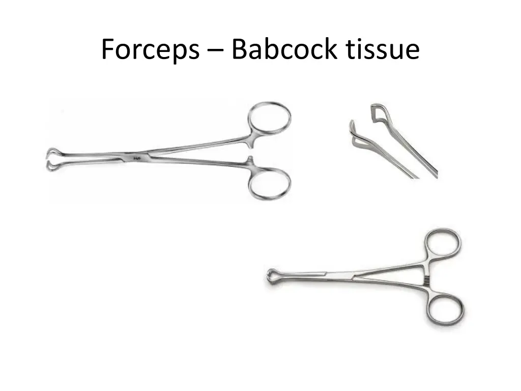 forceps babcock tissue