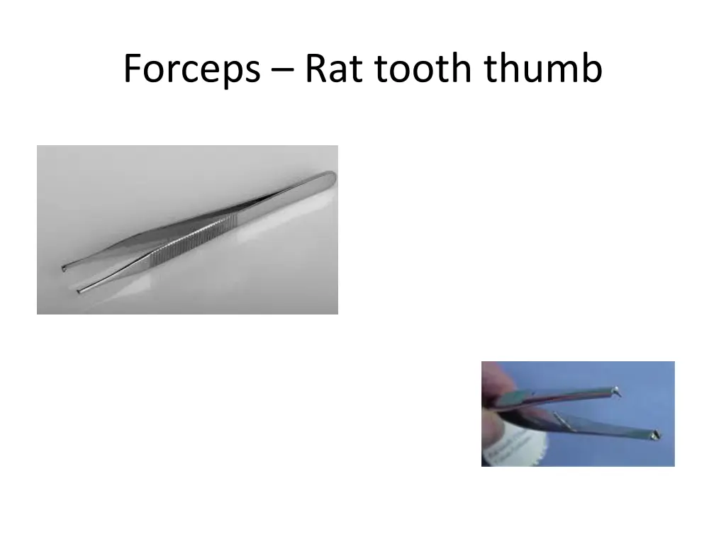 forceps rat tooth thumb