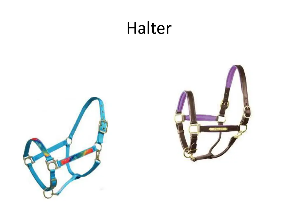 halter