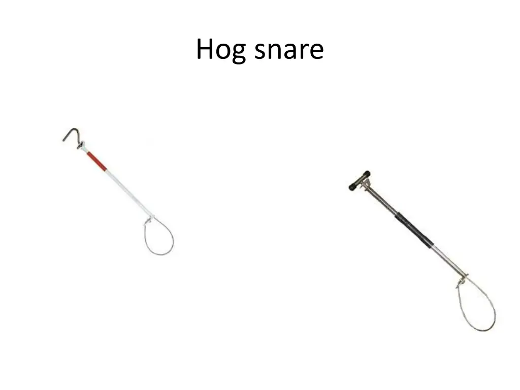 hog snare