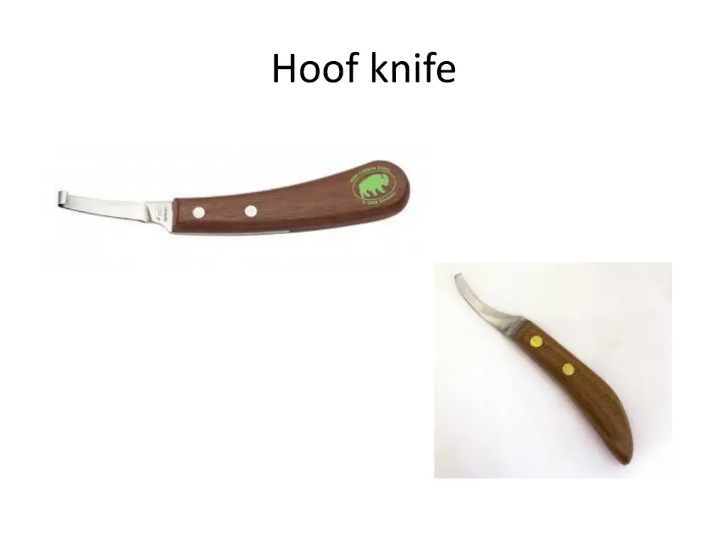 hoof knife