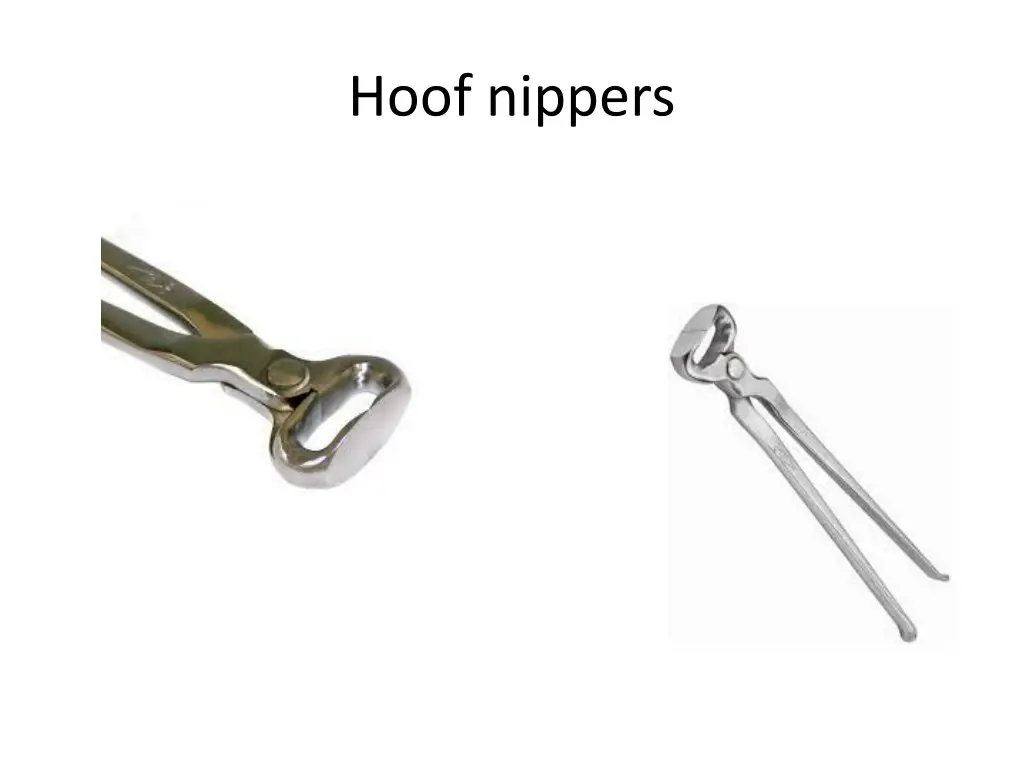hoof nippers