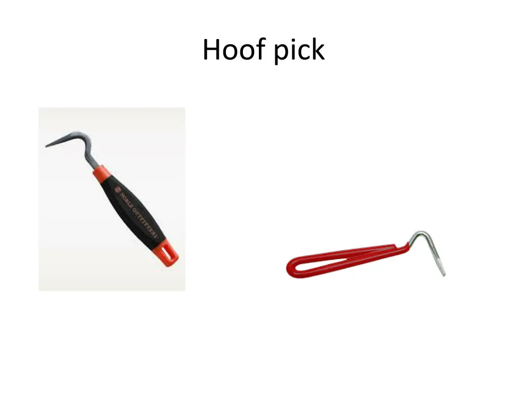 hoof pick