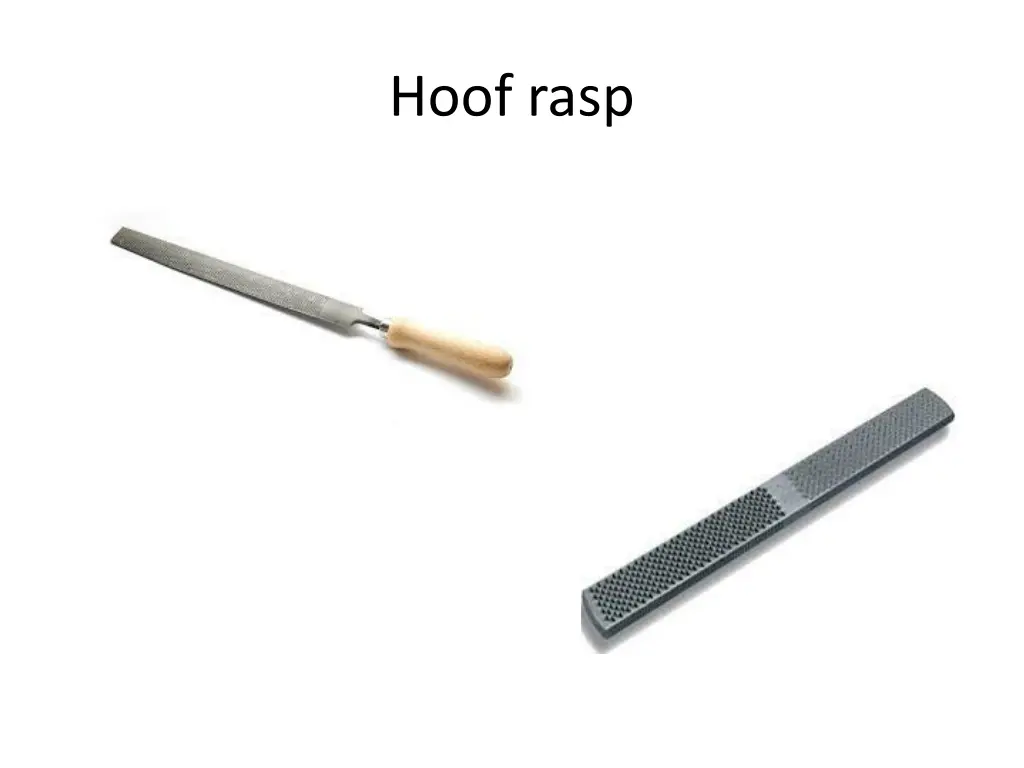 hoof rasp