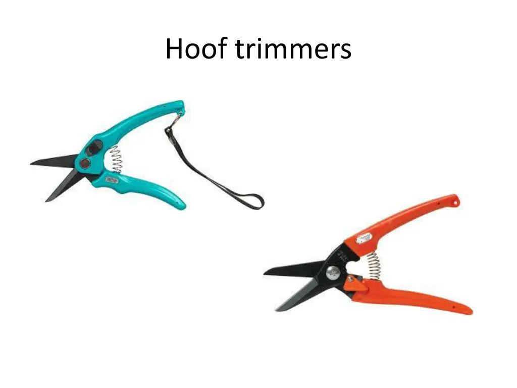 hoof trimmers
