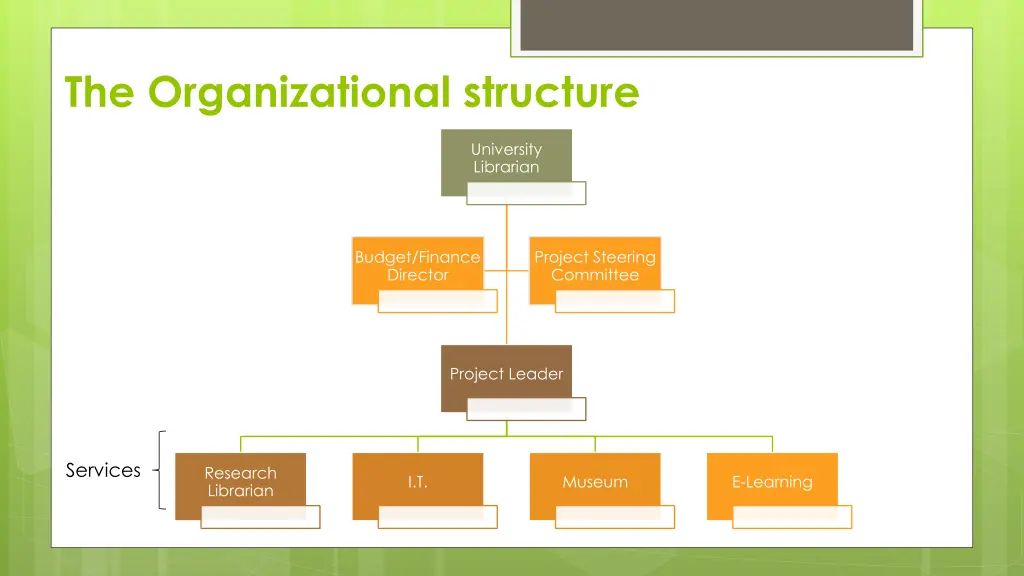 the organizational structure
