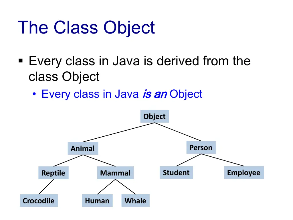 the class object