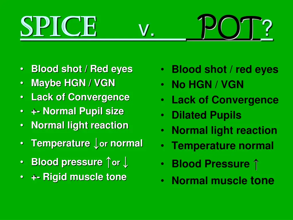 spice spice v pot
