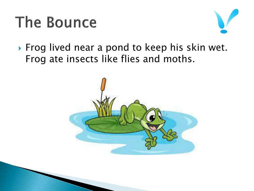 frog lived near a pond to keep his skin wet frog
