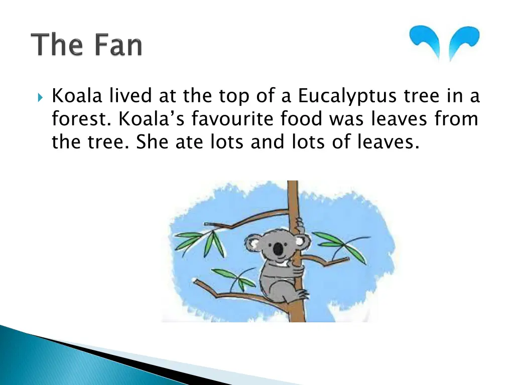 koala lived at the top of a eucalyptus tree