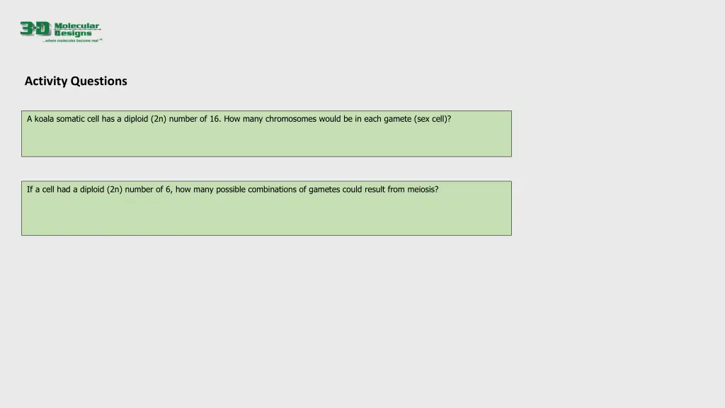 activity questions