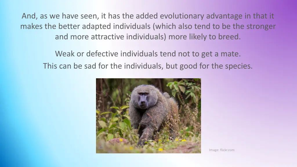 and as we have seen it has the added evolutionary