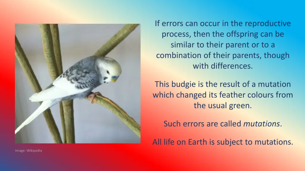 if errors can occur in the reproductive process