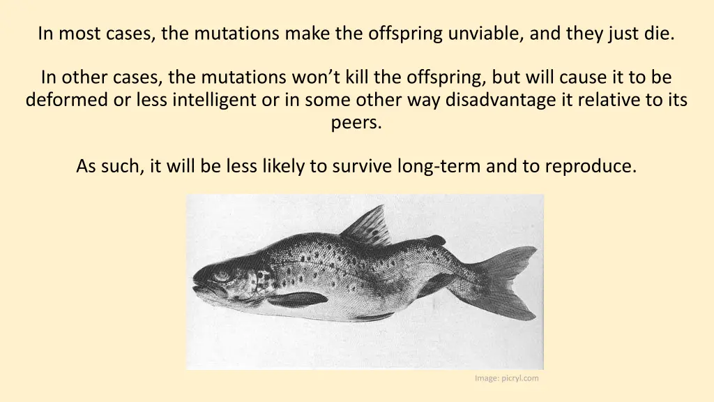 in most cases the mutations make the offspring