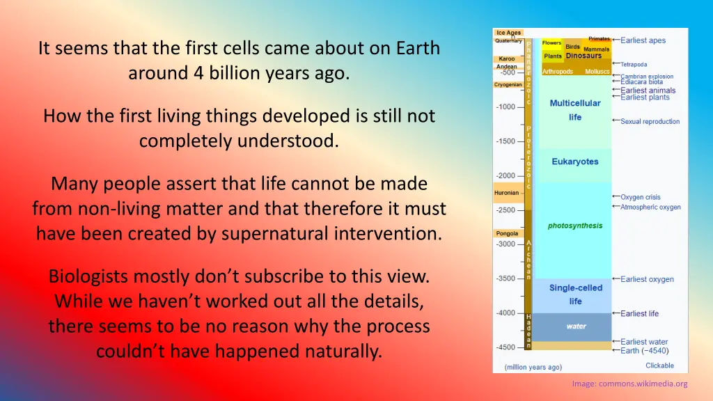 it seems that the first cells came about on earth