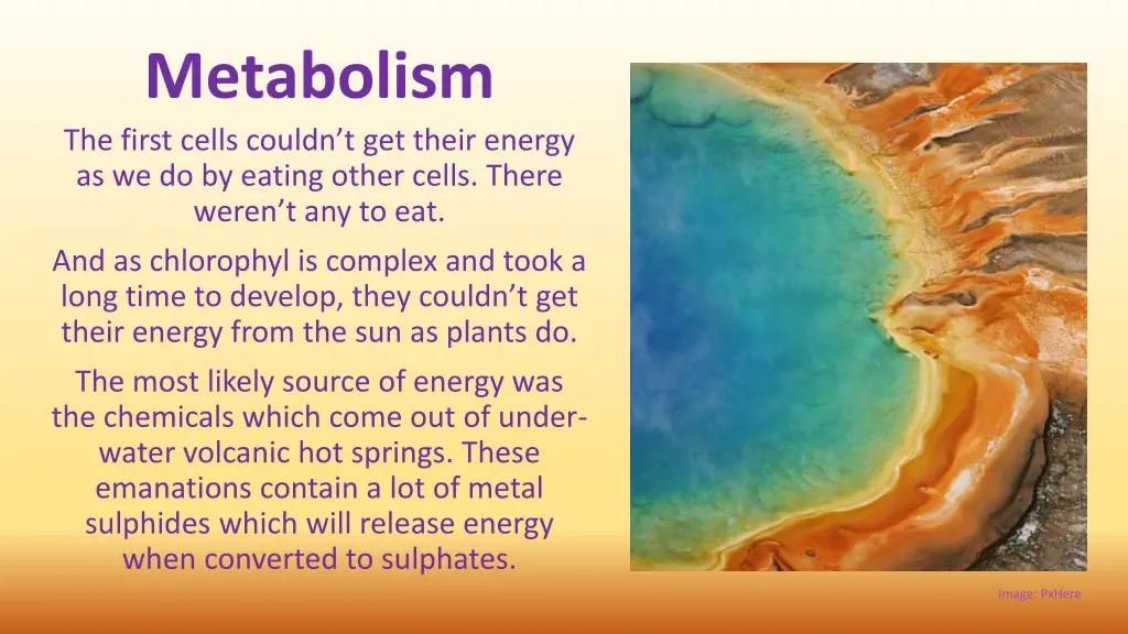 metabolism the first cells couldn t get their