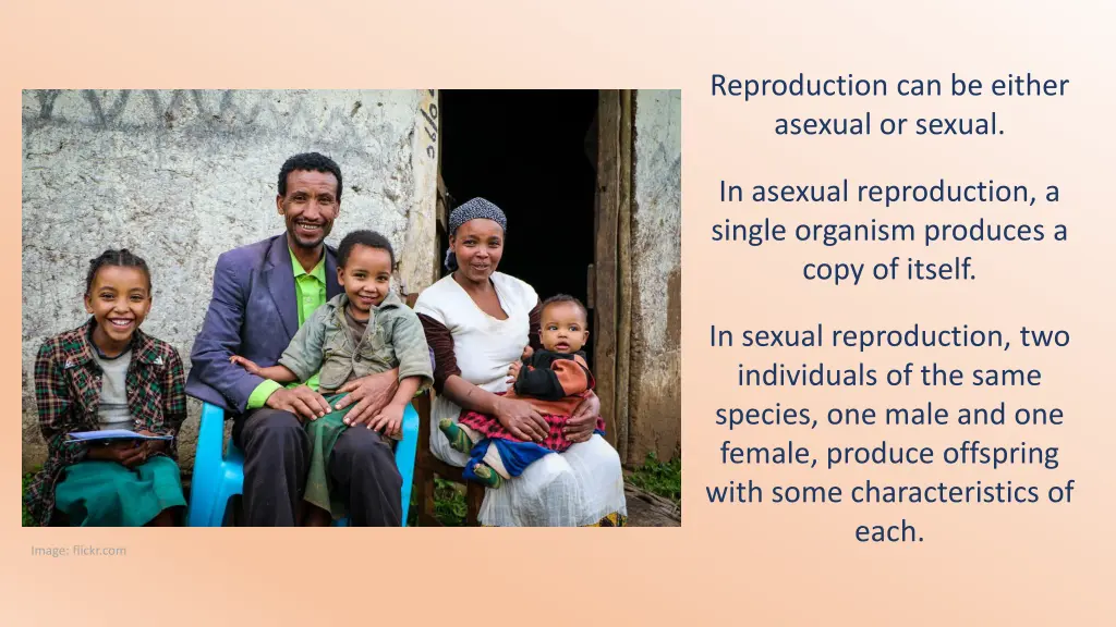 reproduction can be either asexual or sexual
