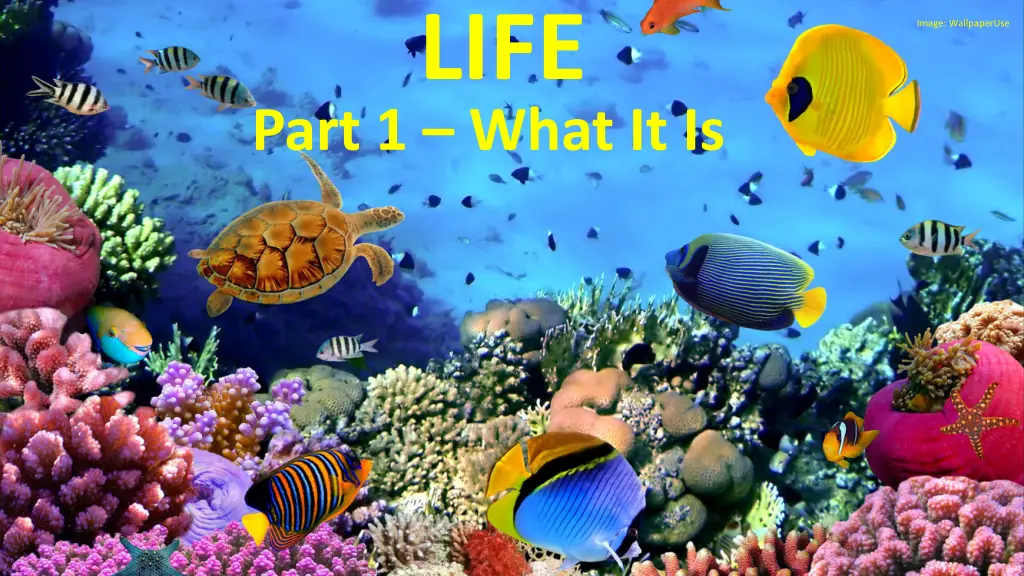 slide2