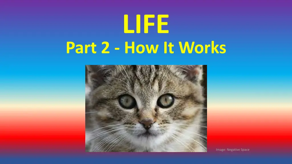 slide27