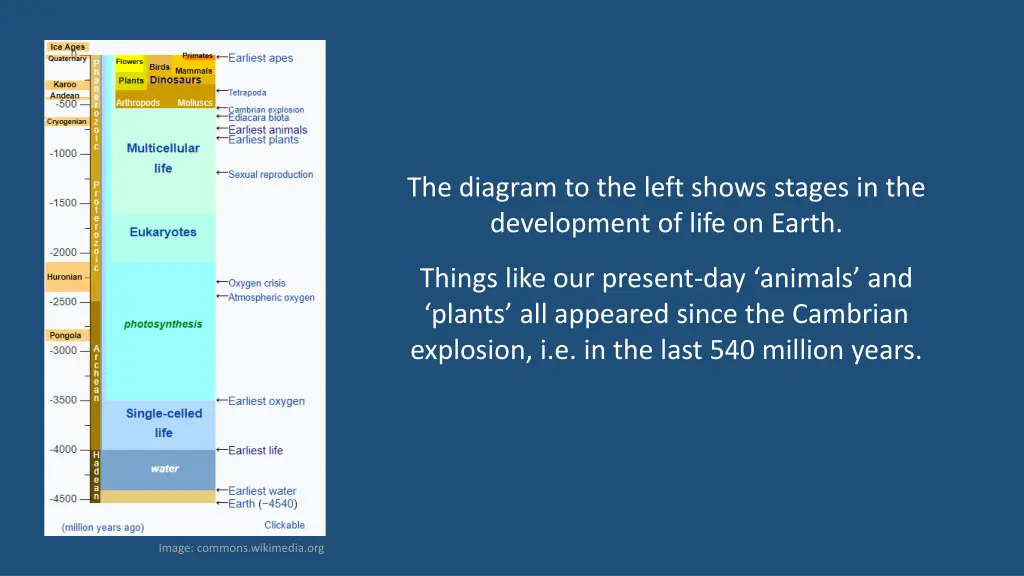 the diagram to the left shows stages