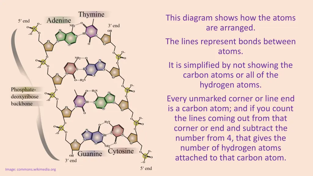 this diagram shows how the atoms are arranged