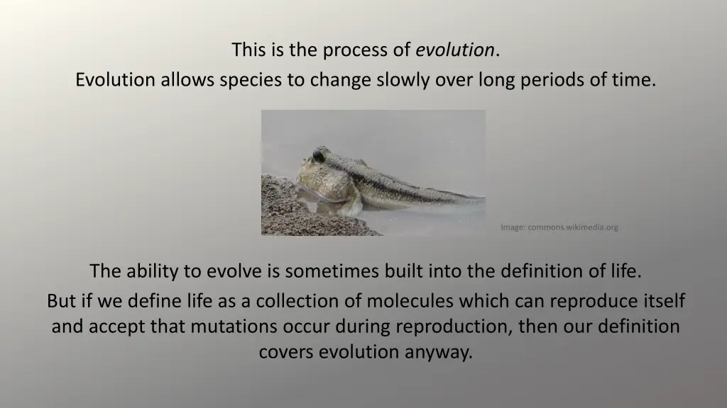 this is the process of evolution