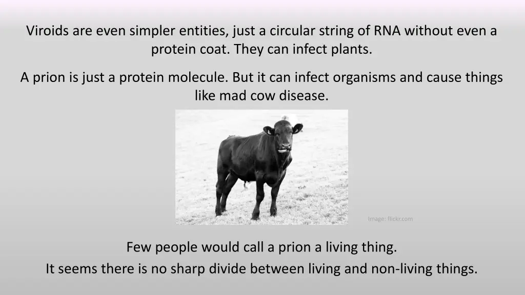 viroids are even simpler entities just a circular
