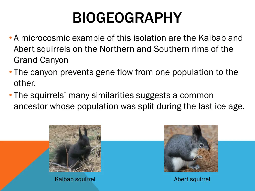 biogeography 2