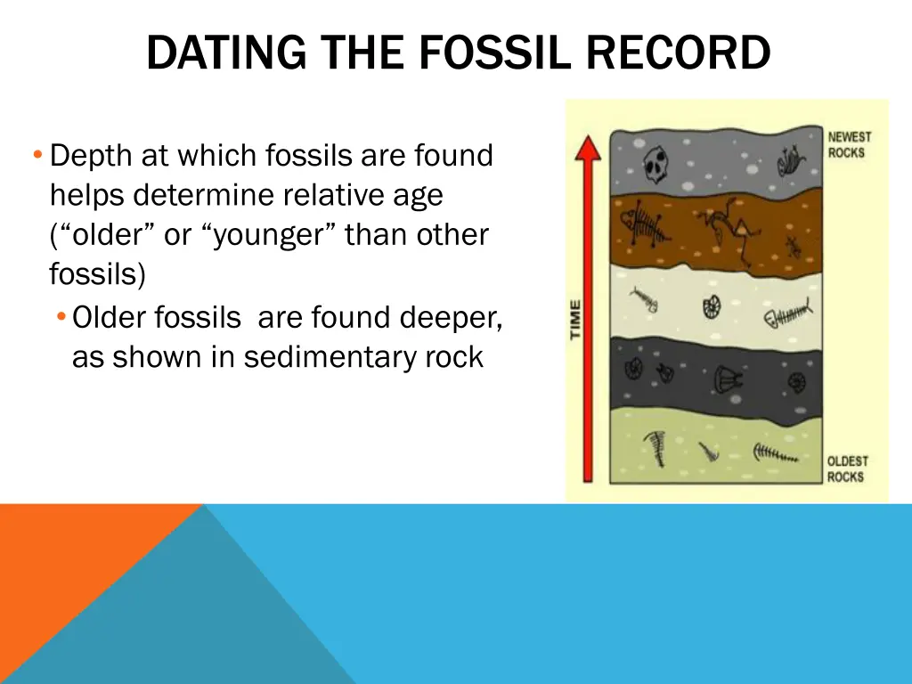 dating the fossil record