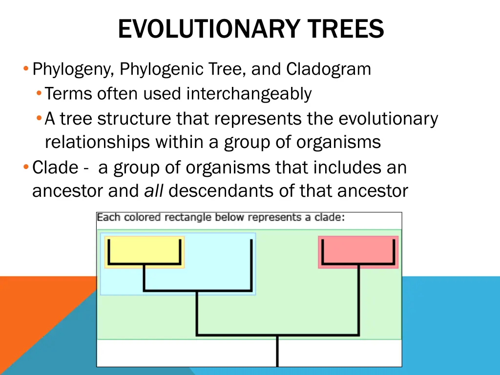 evolutionary trees 1