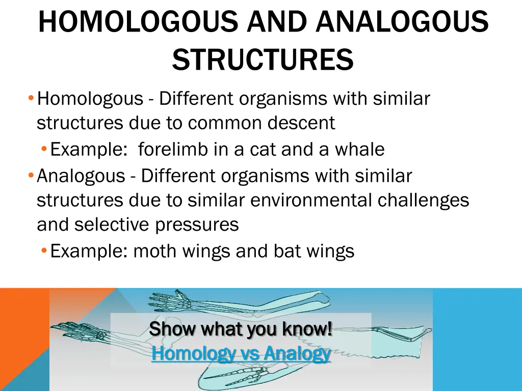 homologous and analogous structures homologous