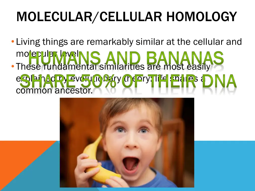 molecular cellular homology