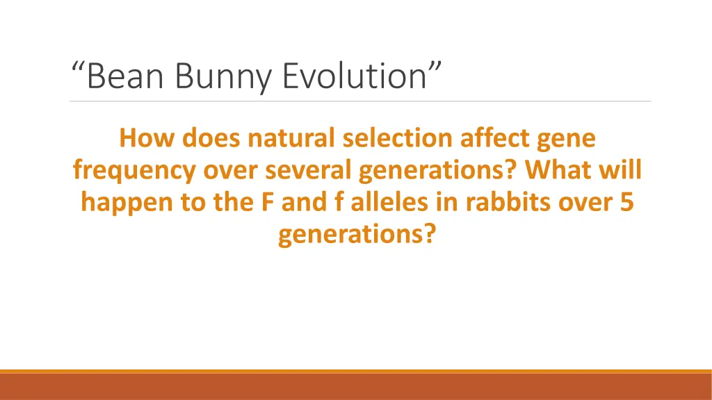 bean bunny evolution 1