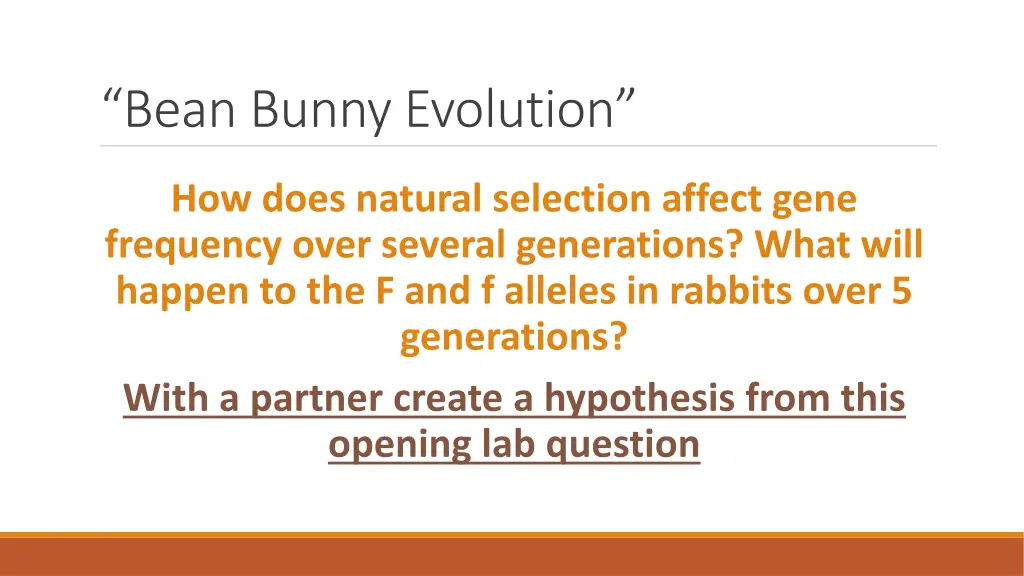 bean bunny evolution 2