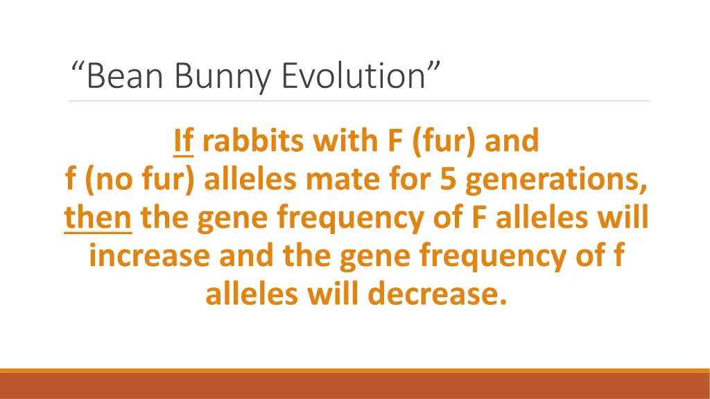 bean bunny evolution 3