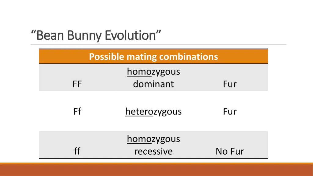 bean bunny evolution bean bunny evolution 1