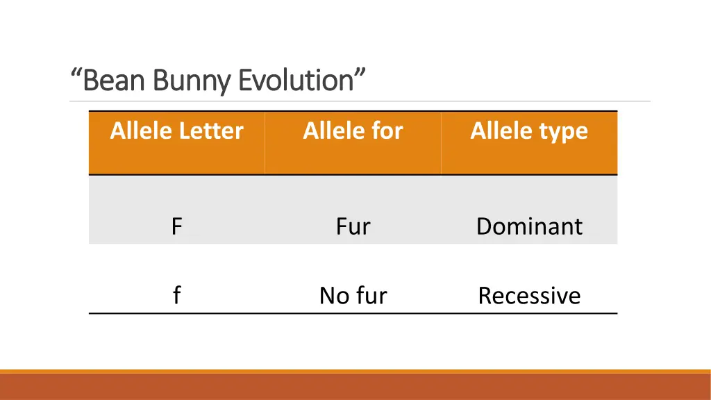 bean bunny evolution bean bunny evolution