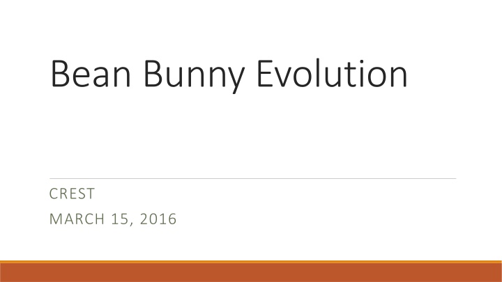 bean bunny evolution