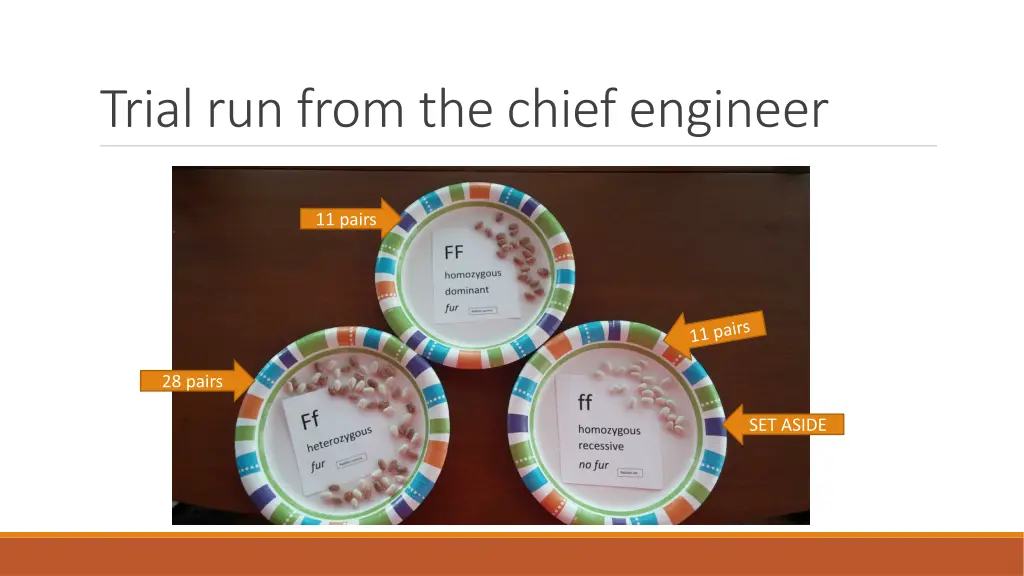 trial run from the chief engineer