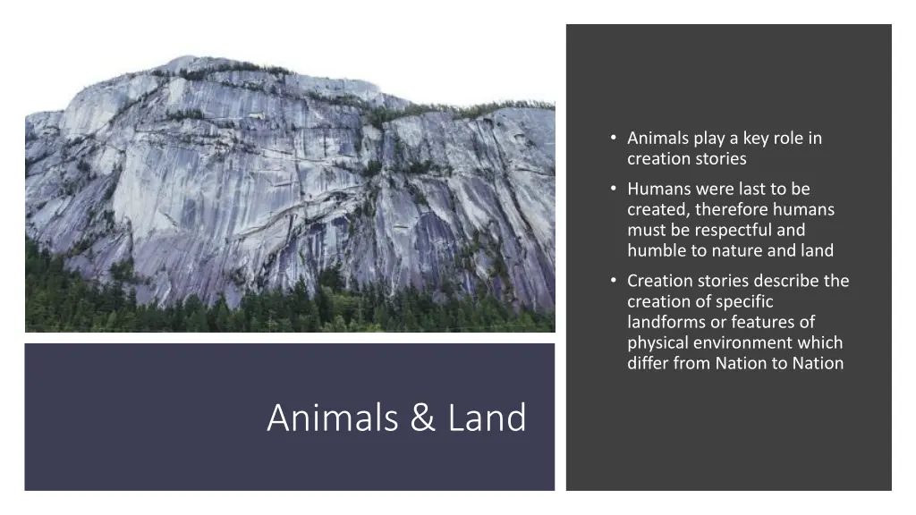 animals play a key role in creation stories