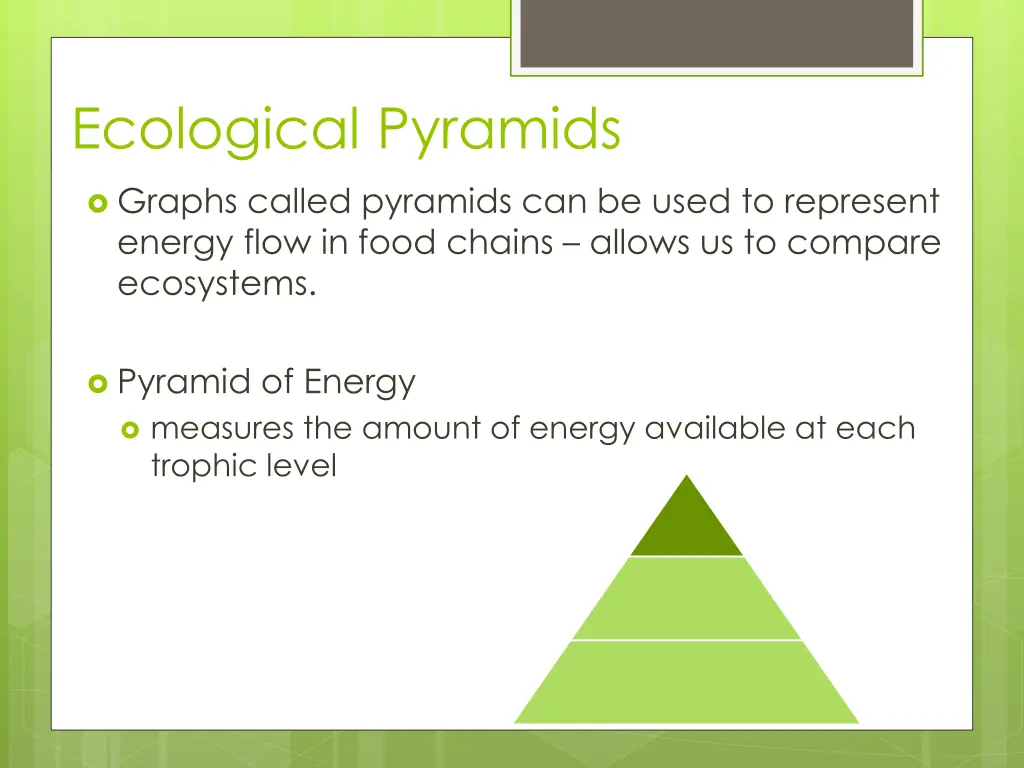 ecological pyramids