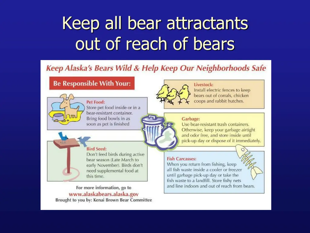 keep all bear attractants out of reach of bears