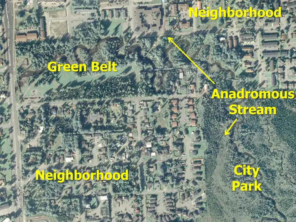 neighborhood