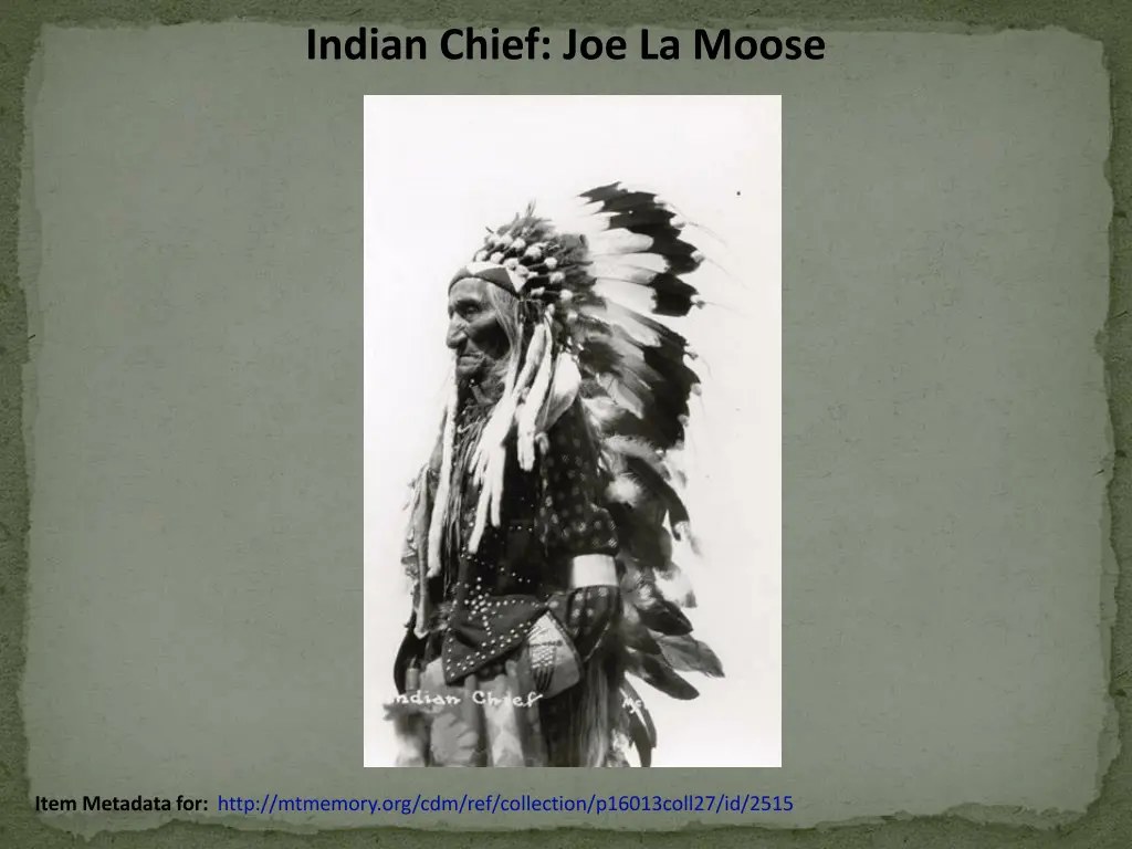 indian chief joe la moose