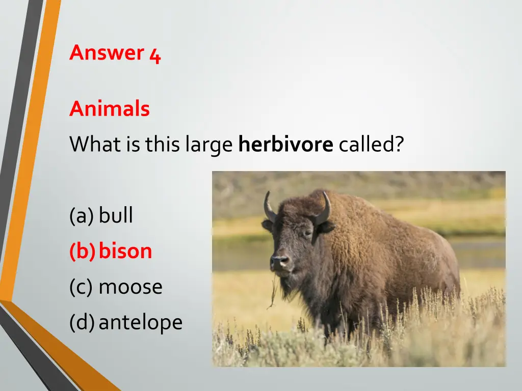 answer 4
