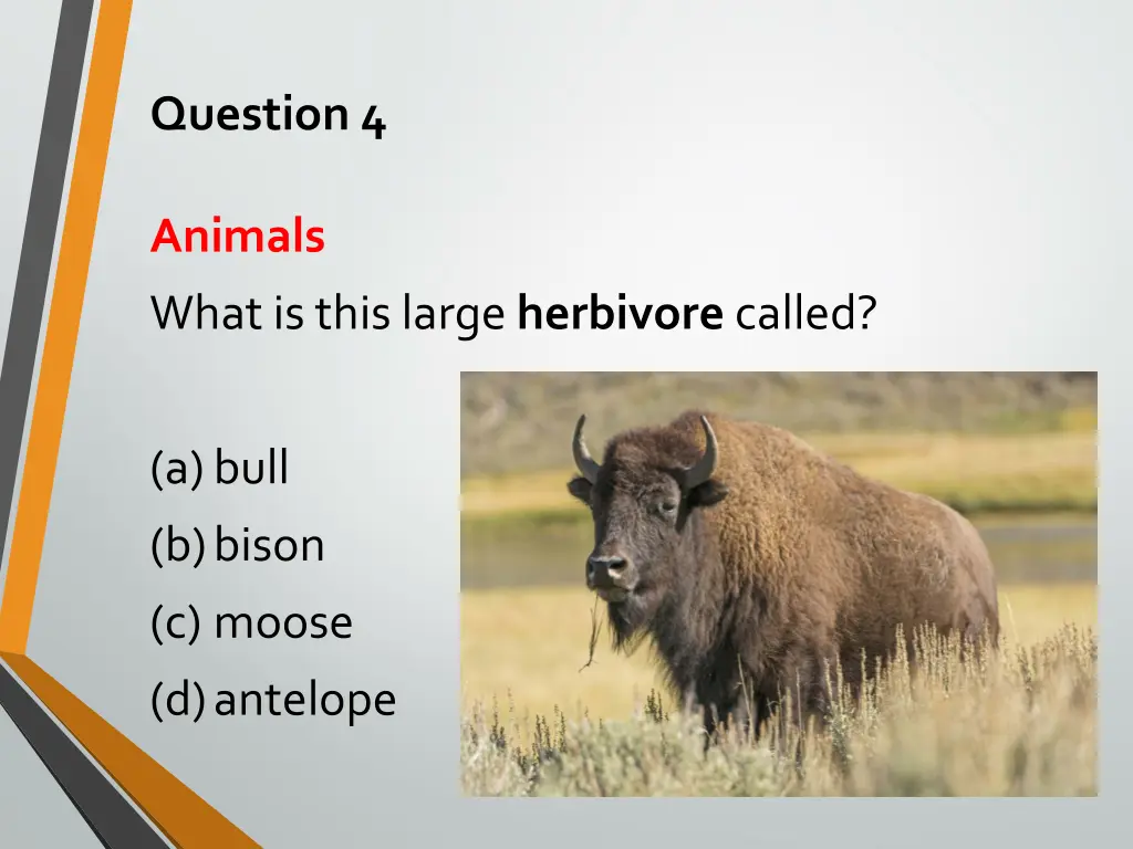 question 4