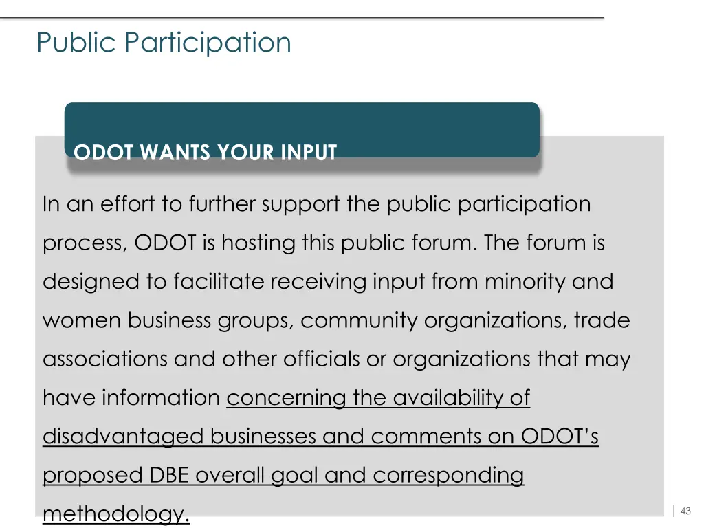 public participation