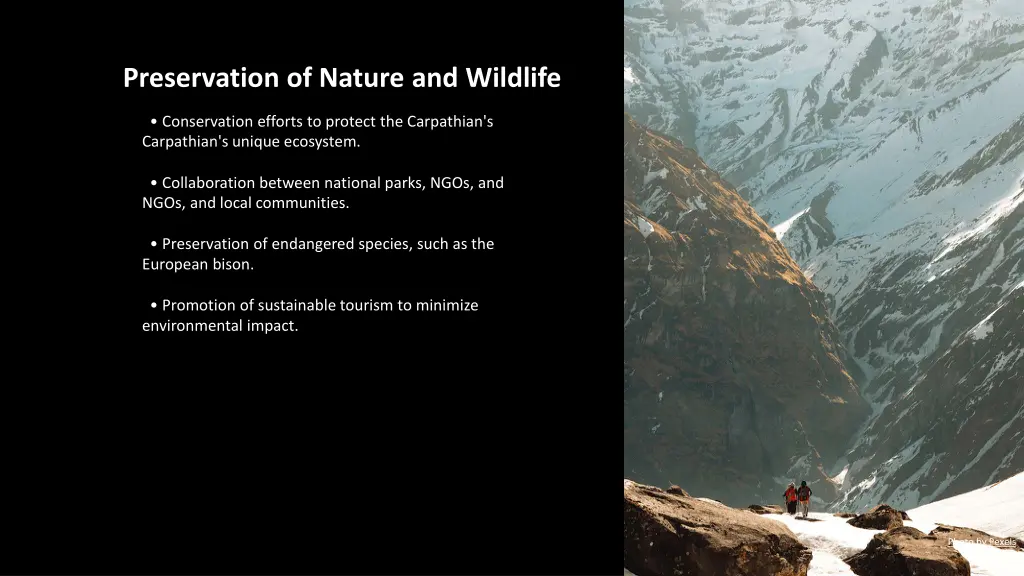 preservation of nature and wildlife